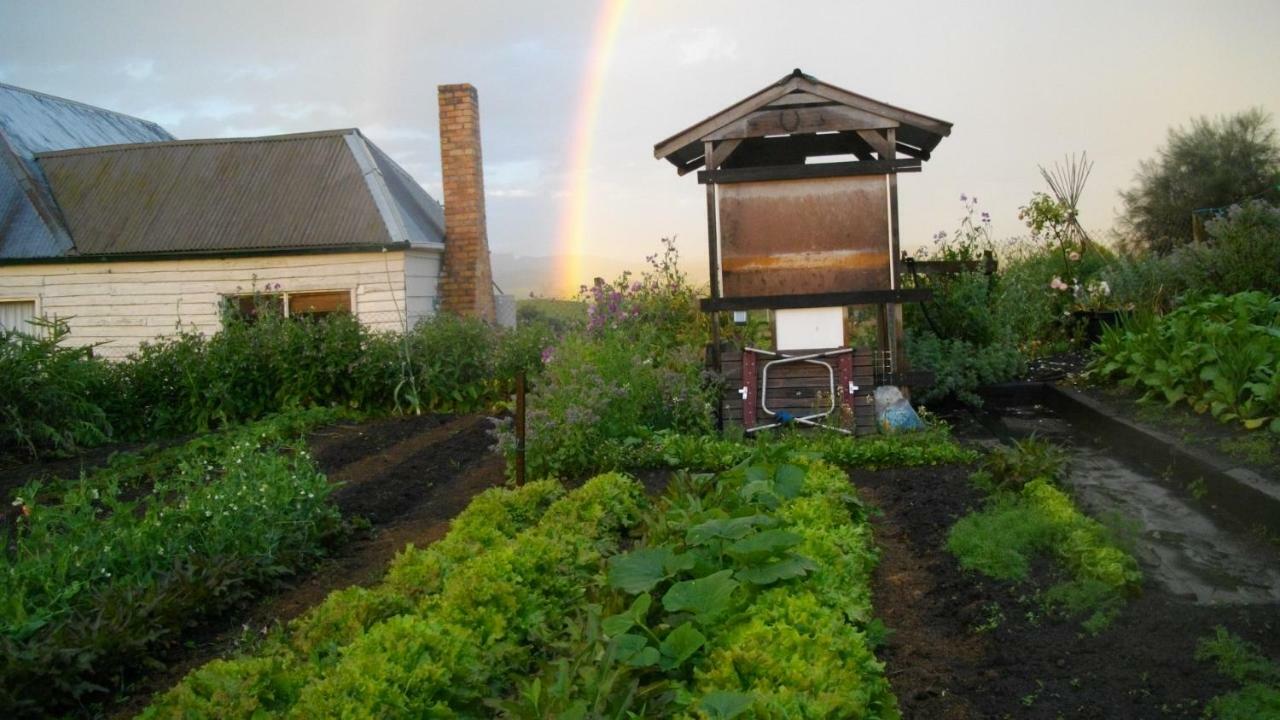 Cherry Top Farmstay - Boutique Eco Village Lilydale Exterior photo